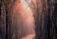 广州恒大实力强劲持续领跑，稳定表现挑战对手，期待更多胜利