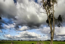 亚洲女足锦标赛赢得宝座